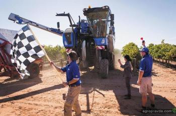 New Holland установил новый рекорд уборки винограда New Holland установил новый рекорд уборки винограда
