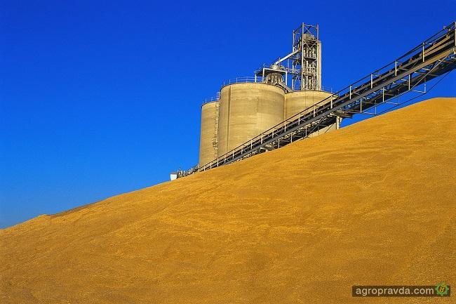 Украинские аграрии намолотили 31 млн тонн ранних зерновых