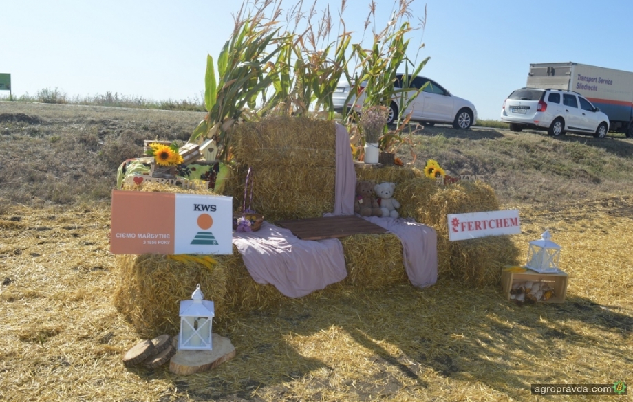 На полях ФГ «Омельяненко» в Кировоградской области собрали до 8 т/га озимой пшеницы