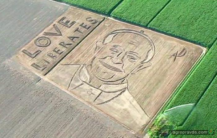 Фермер на своем поле рисует портреты политиков. Фото