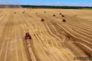 Уборка риса комбайном Case IH 7130 на полях Украины. Видео Уборка риса комбайном Case IH 7130 на полях Украины. Видео