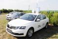 Skoda приняла участие в «Дне поля» Skoda приняла участие в «Дне поля»