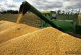 Средние цены реализации агропродукции в Украине выросли на 10% Средние цены реализации агропродукции в Украине выросли на 10%