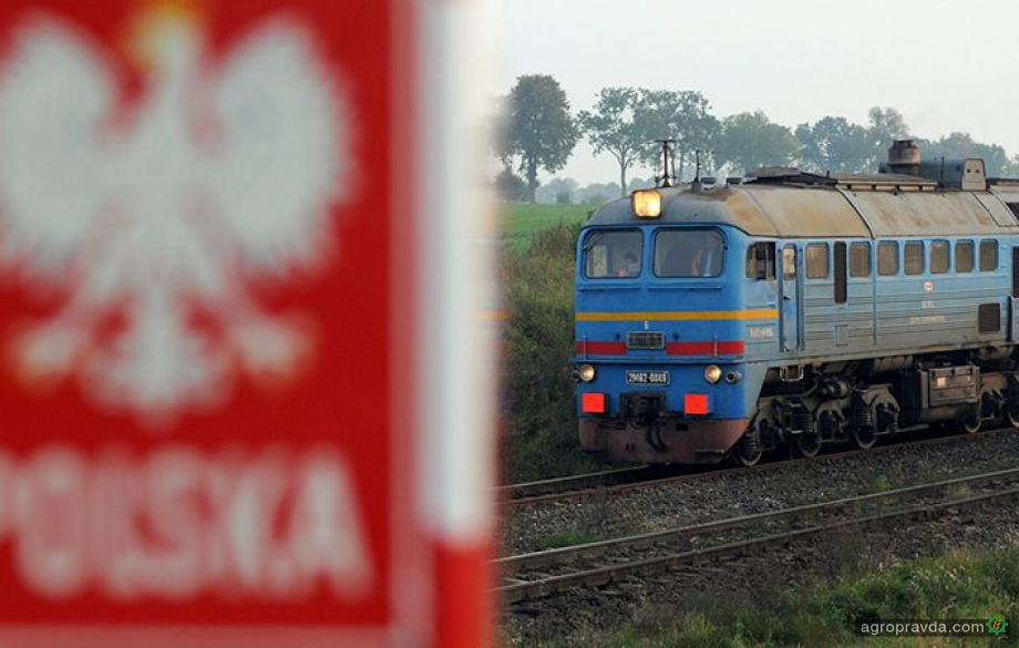 Польща підготувала транзитні коридори для українського зерна