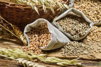 Украина сократила экспорт семян сельхозкультур
