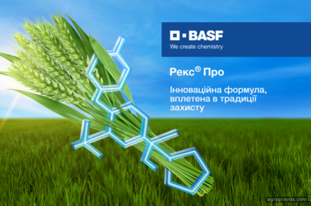 BASF представляє нові фунгіциди з діючою речовиною Ревісол®