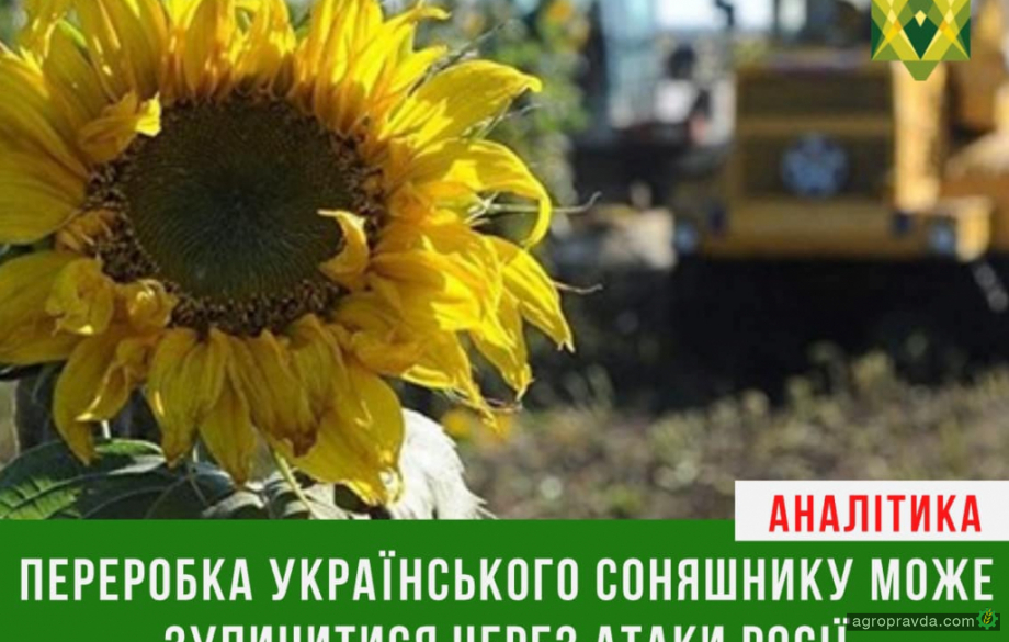 Переробка соняшнику може зупинитись через атаки росії на енергетику