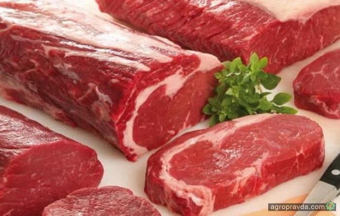 Украина открыла рынок Египта для говядины