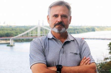 Як захищати соняшник, щоб отримати великі врожаї