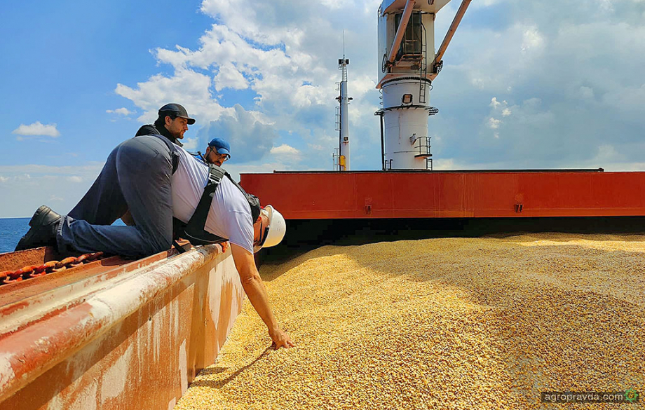 Як зміняться ціни на кукурудзу під впливом відновлення поставок з України