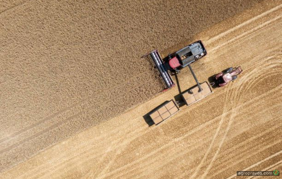 МінАПК підвищило прогноз цьогорічного врожаю зернових та олійних 