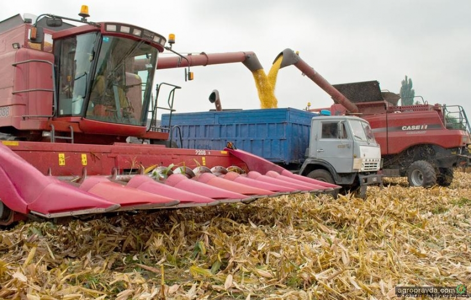 В Україні можуть бути заблокованими до 75 мільйонів тонн зерна