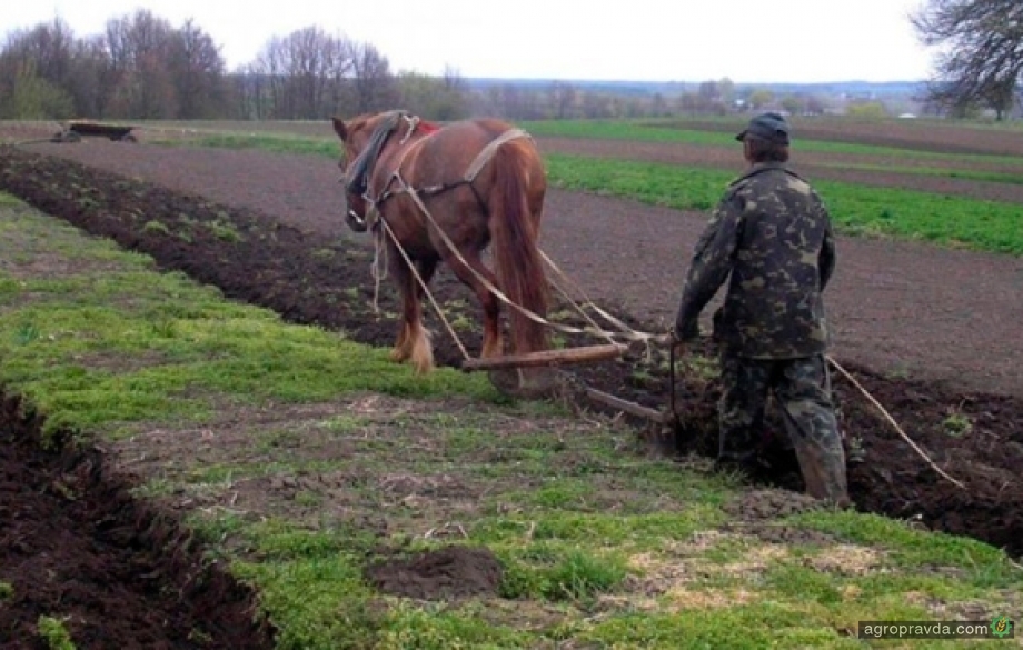 В Украине уменьшилось количество крестьянских хозяйств