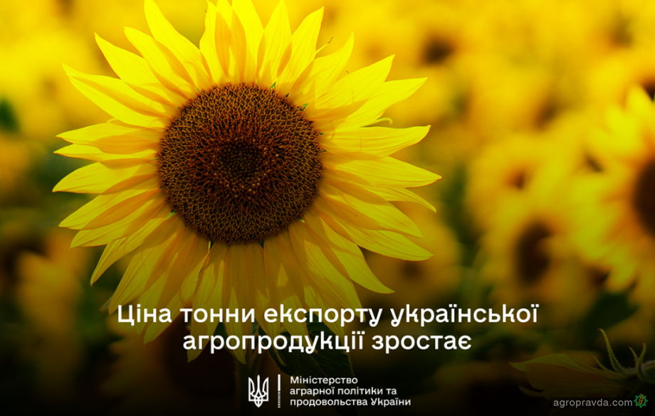 Ціна тонни експорту української аграрної продукції зросла в 1,4 рази Ціна тонни експорту української аграрної продукції зросла в 1,4 рази