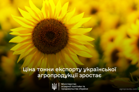 Соняшник – лідер серед культур, на яких фермери можуть заробити найбільше