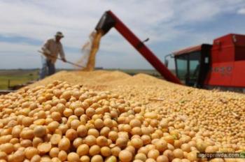 Экспорт зерна: Чем чревата новая инструкция МинАПК