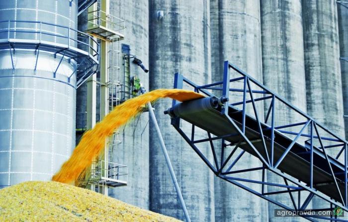 Экспорт составил почти 26 млн тонн зерновых