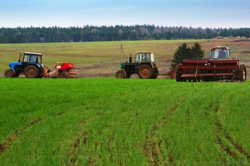 Расходы на производство сельхозпродукции выросли на 66,3%