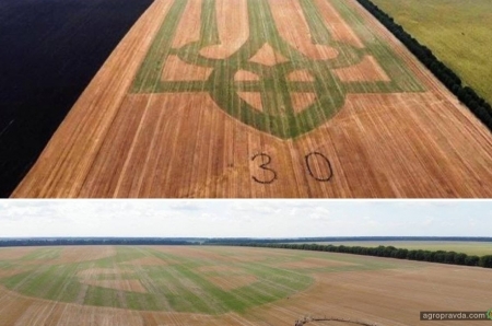 Фермеры на поле создали рекордный герб Украины