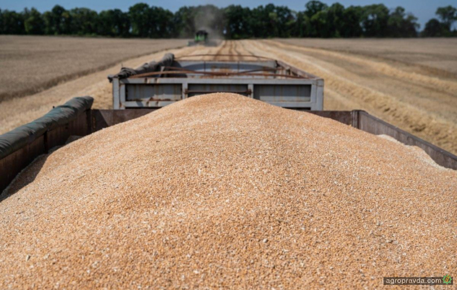 Україна вийшла на довоєнні показники експорту зернових та олійних