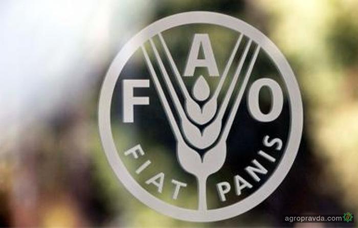 ЕББР и ФАО готовят новые формы кредитования украинских аграриев