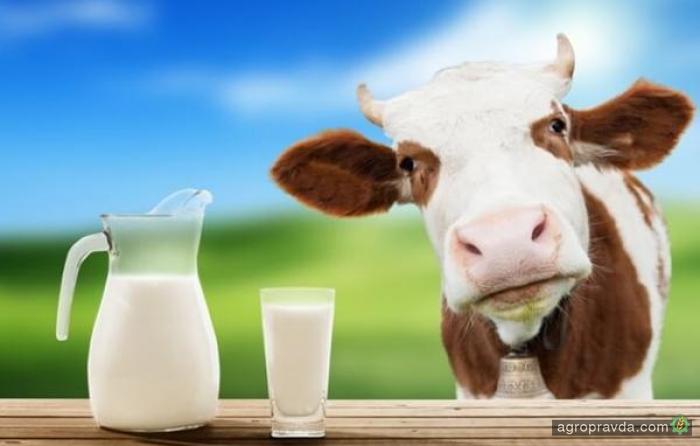 Украина вошла в десятку крупнейших экспортеров молочной продукции