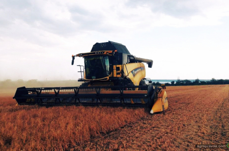 Жнива на Півдні — в самому розпалі. Як працюють комбайни New Holland