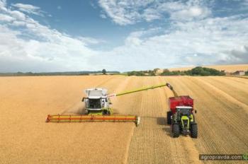 Как изменился рынок зерновых Украины