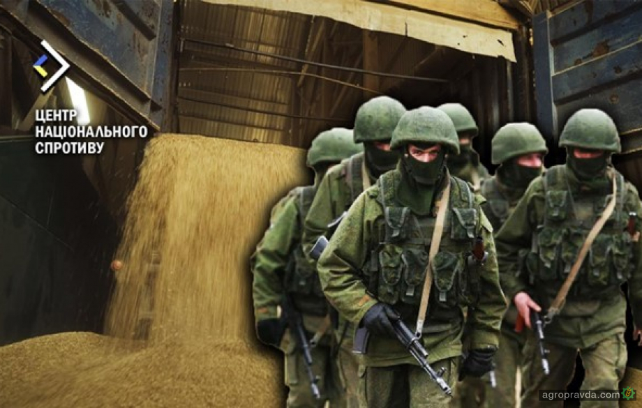 Торік росіяни вивезли з окупованих територій 5 млн тонн українського зерна