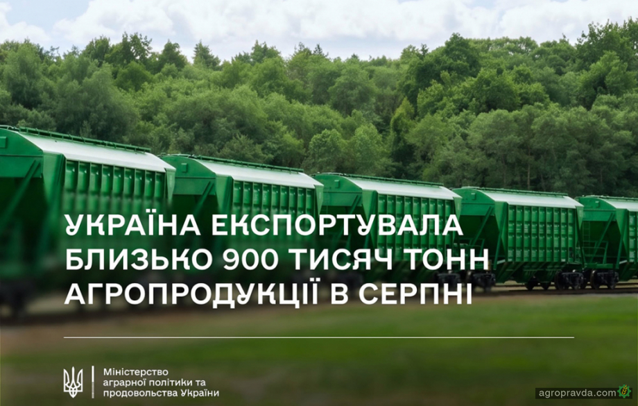 В серпні Україна експортувала близько 900 тис. т агропродукції