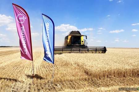 Як комбайн New Holland CR7.90 жнивує на Миколаївщині