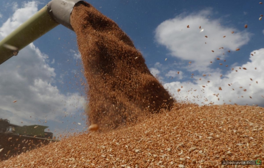Украина планирует увеличить экспорт пшеницы