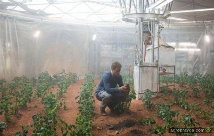 NASA готовится выращивать картофель на Марсе