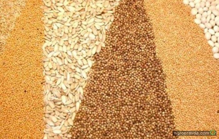 Минэкономразвития повысило прогноз урожая зерновых в Украине до 61 млн тонн