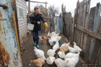 У бывших владельцев «Мрии» есть шанс возродить агробизнес в Украине