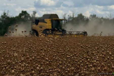 Демо-жнива з New Holland тривають на Кіровоградщині