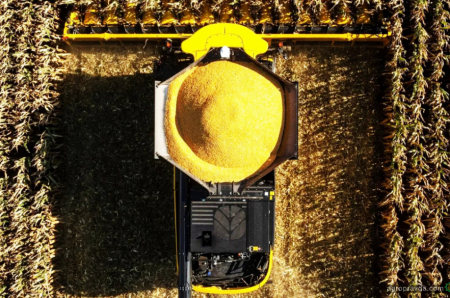 Збирання кукурудзи з New Holland CR11 — кожне зерно має значення