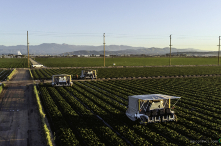 CNH інвестує в роботів для збирання фруктів 