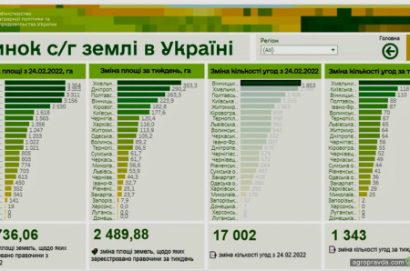 Скільки коштує 1 га землі в Україні