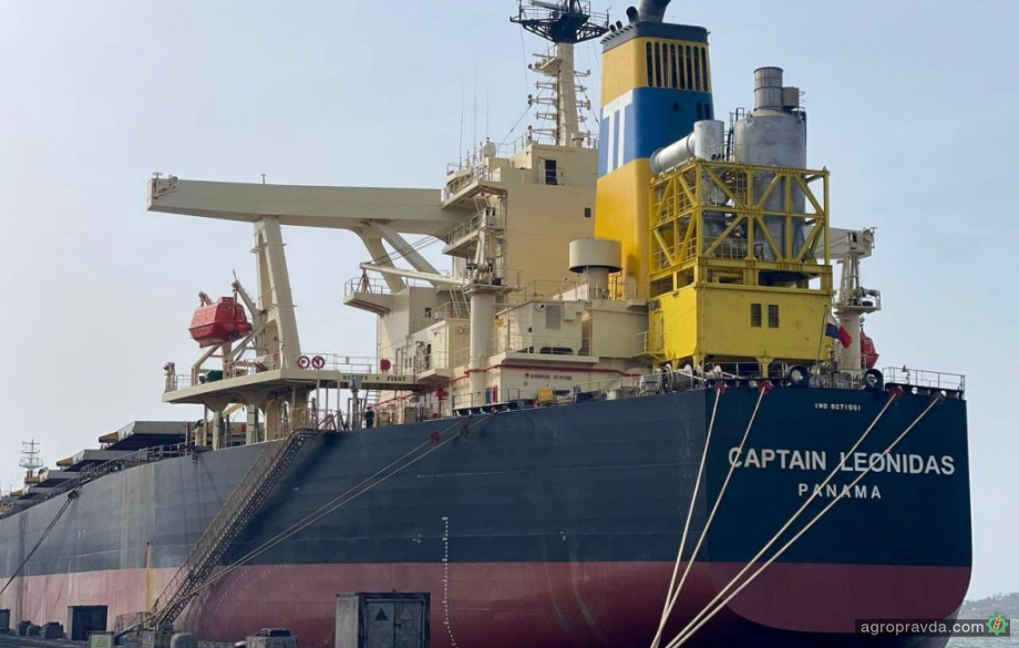 Рекордні 195,7 тисяч тонн на одному судні експортували з порту «Південний»