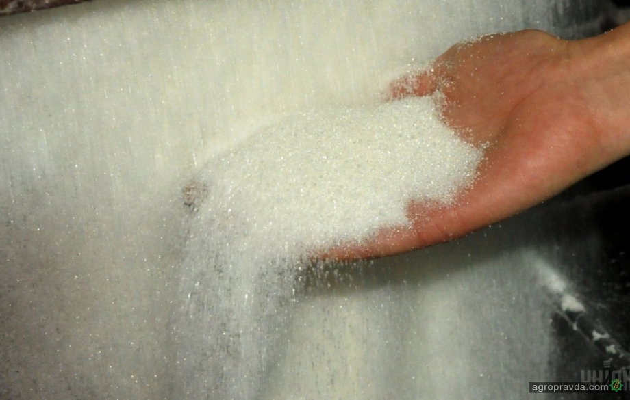 Украина сократила экспорт сахара более чем в два раза