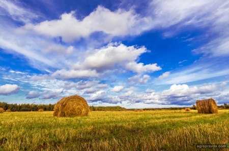Николаевская агрокомпания задолжала больше 15 млн. за сельхозтехнику