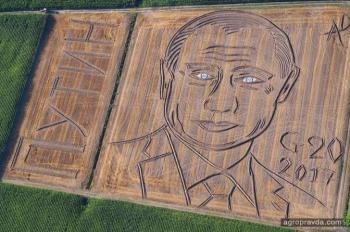 Фермер на своем поле рисует портреты политиков. Фото