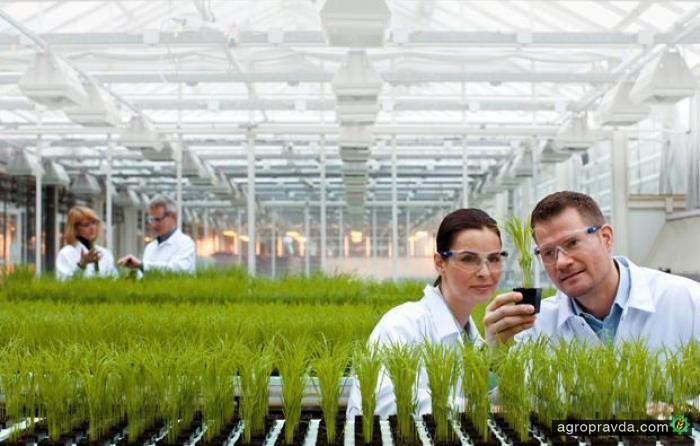 Bayer ищет кто поможет купить Monsanto