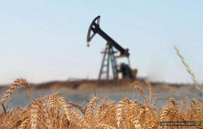 Подорожание нефти может поднять цены на кукурузу и сою