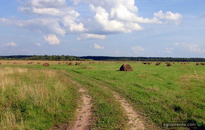 Россияне настроены на покупку сельхозземель в Украине