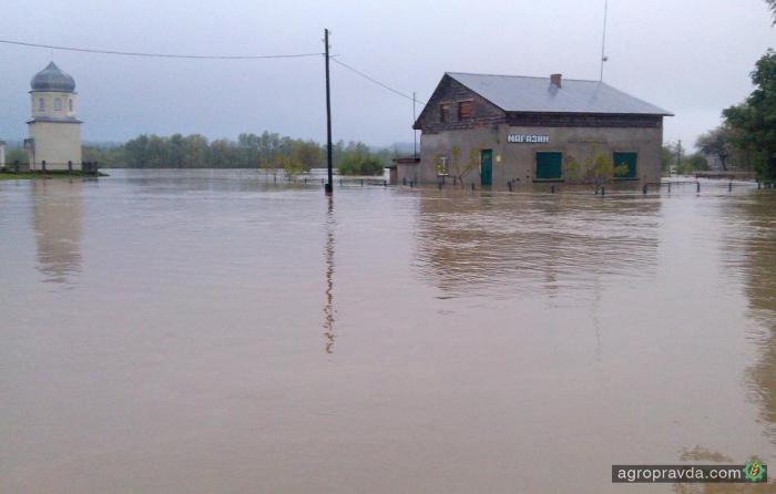 Разгул стихии во Львовской области не отразится на урожае Разгул стихии во Львовской области не отразится на урожае
