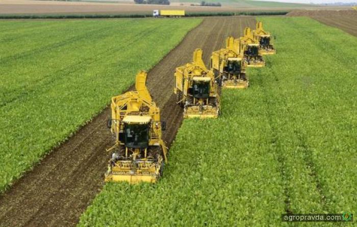 Назван размер ВВП в аграрном секторе Украины