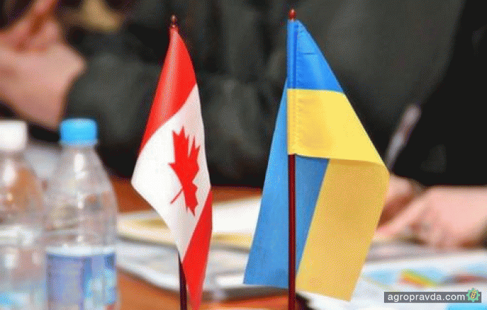 Украинский агросектор может увеличить объем экспорта в Канаду