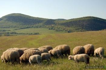 Реинтеграцию сельского хозяйства Крыма следует начинать уже сейчас
